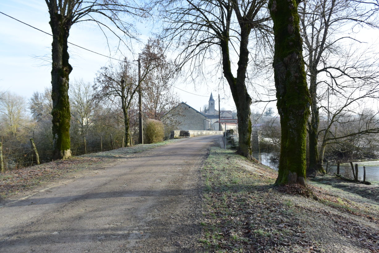 Silvarouvres (1)
